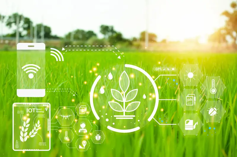 Regenerative Agriculture