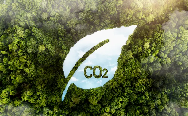 Regenerative Farming